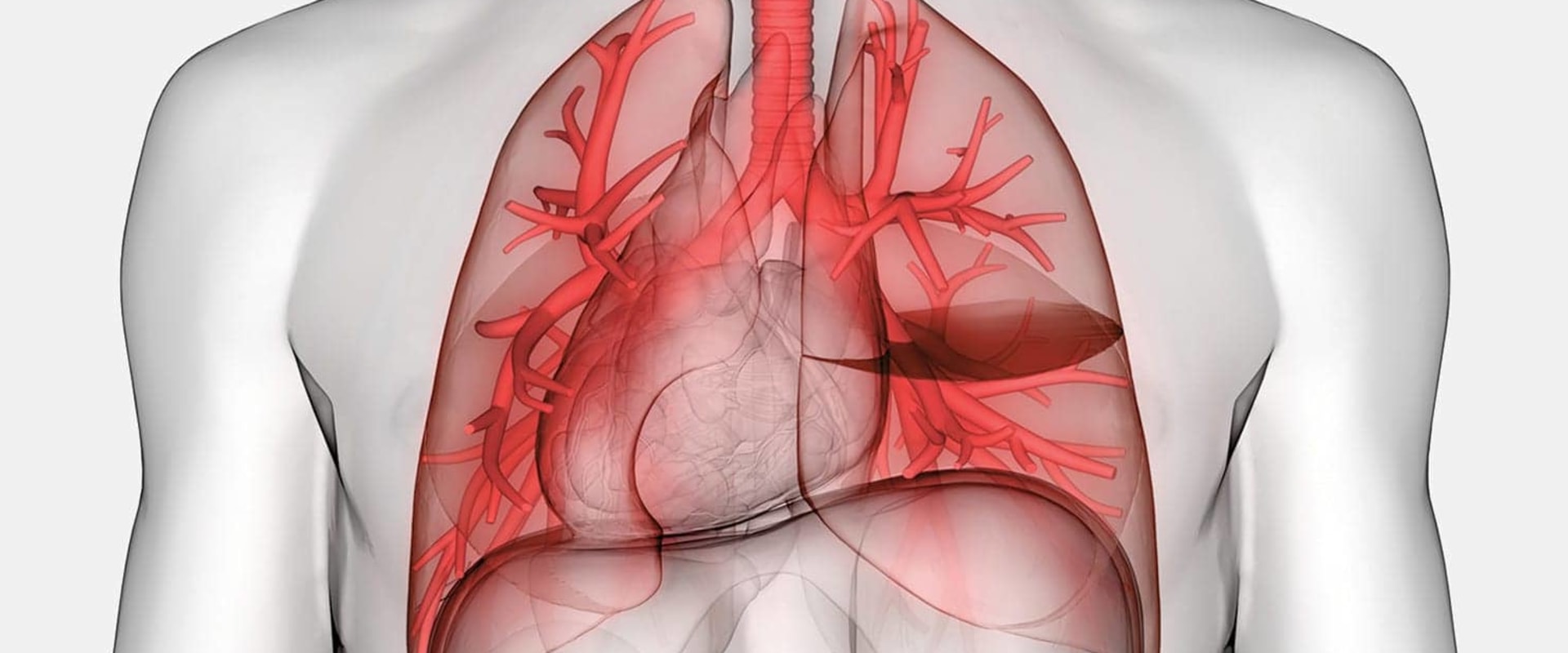 understanding-fluid-buildup-in-the-chest