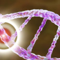 Exploring the Link Between Genetic Mutations and Peritoneal Mesothelioma Risk